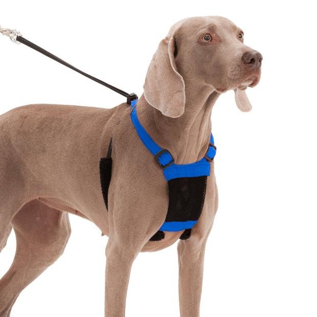 Sporn No Pull Dog Harness