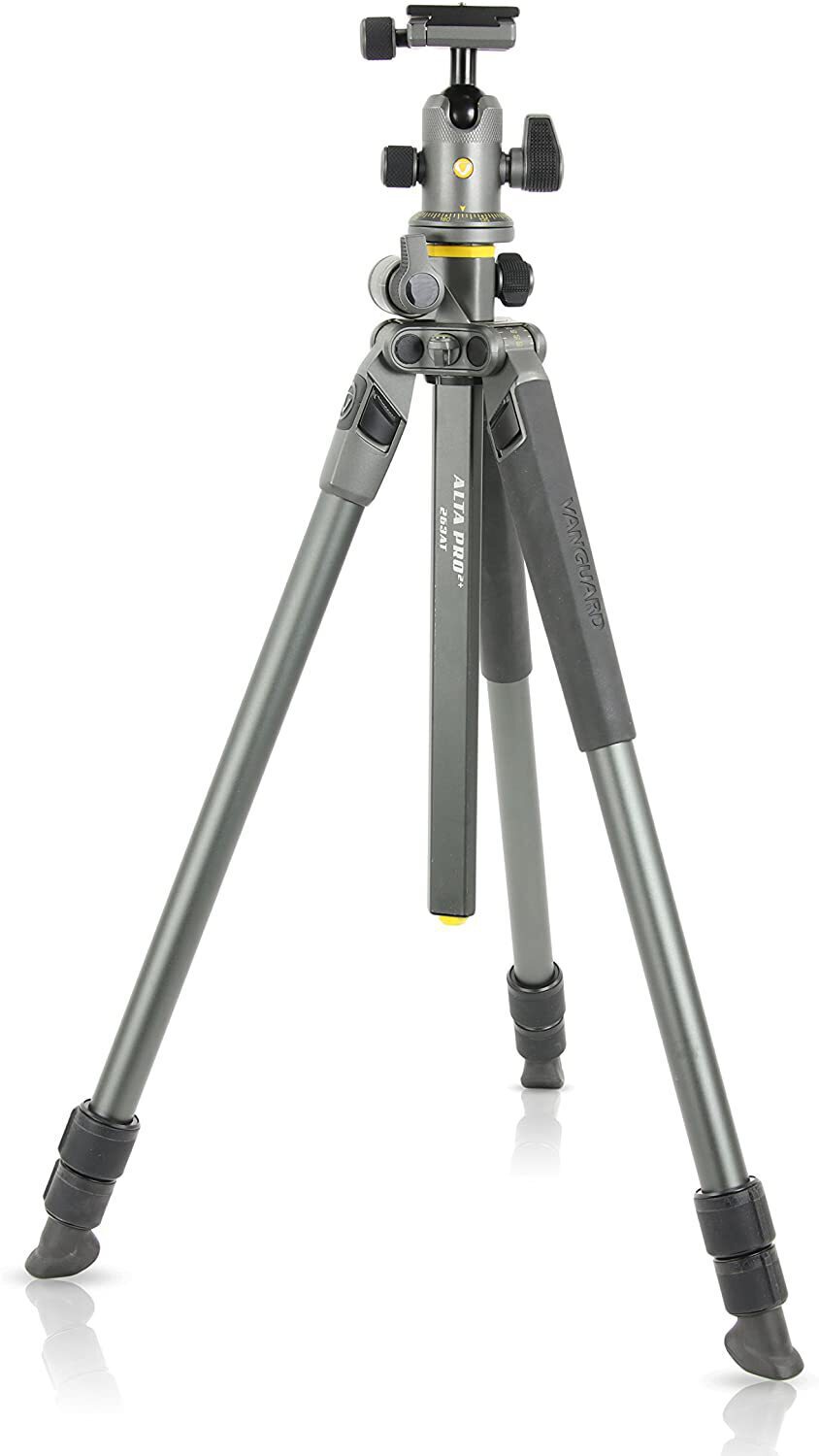 Vanguard Alta Pro 2+ 263AB100