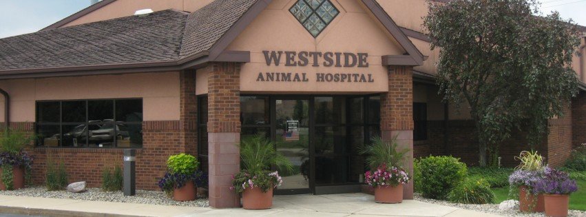 Westside Animal Hospital