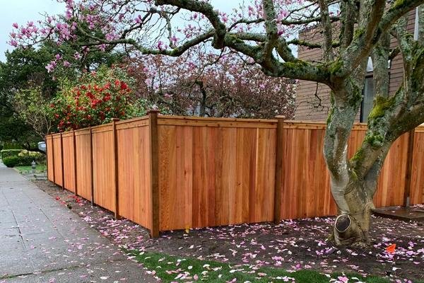 Above & Beyond Fencing