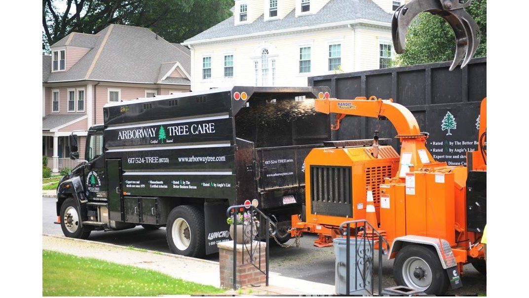 Arborway Tree Care