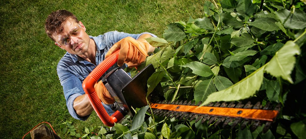 Vondersaars Tree Service