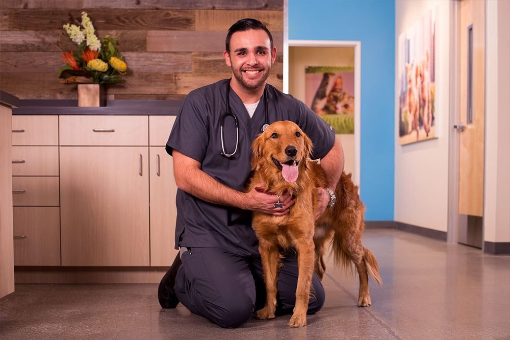 THRIVE Affordable Vet Care
