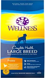 Wellness Complete Health Puppy Food