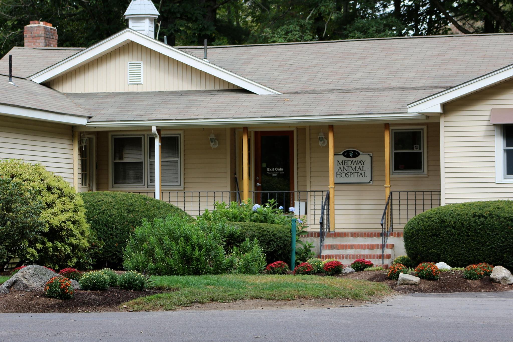 Medway Animal Hospital