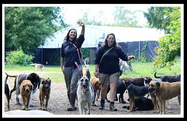 Bone-A-Fide Dog Ranch