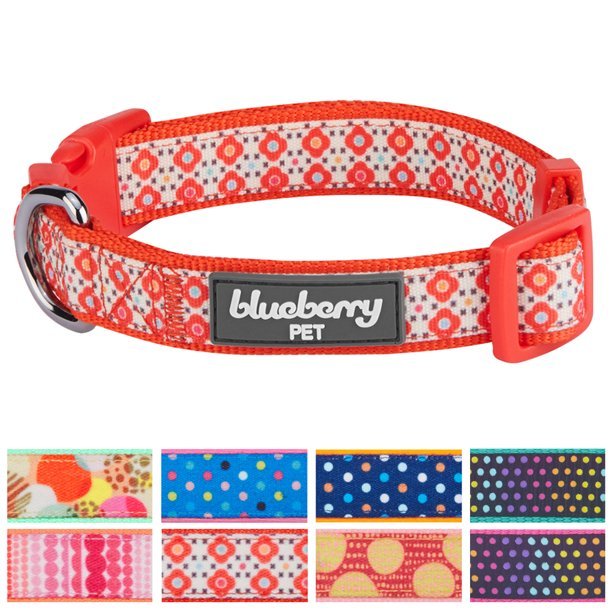 Blueberry Pet Collars