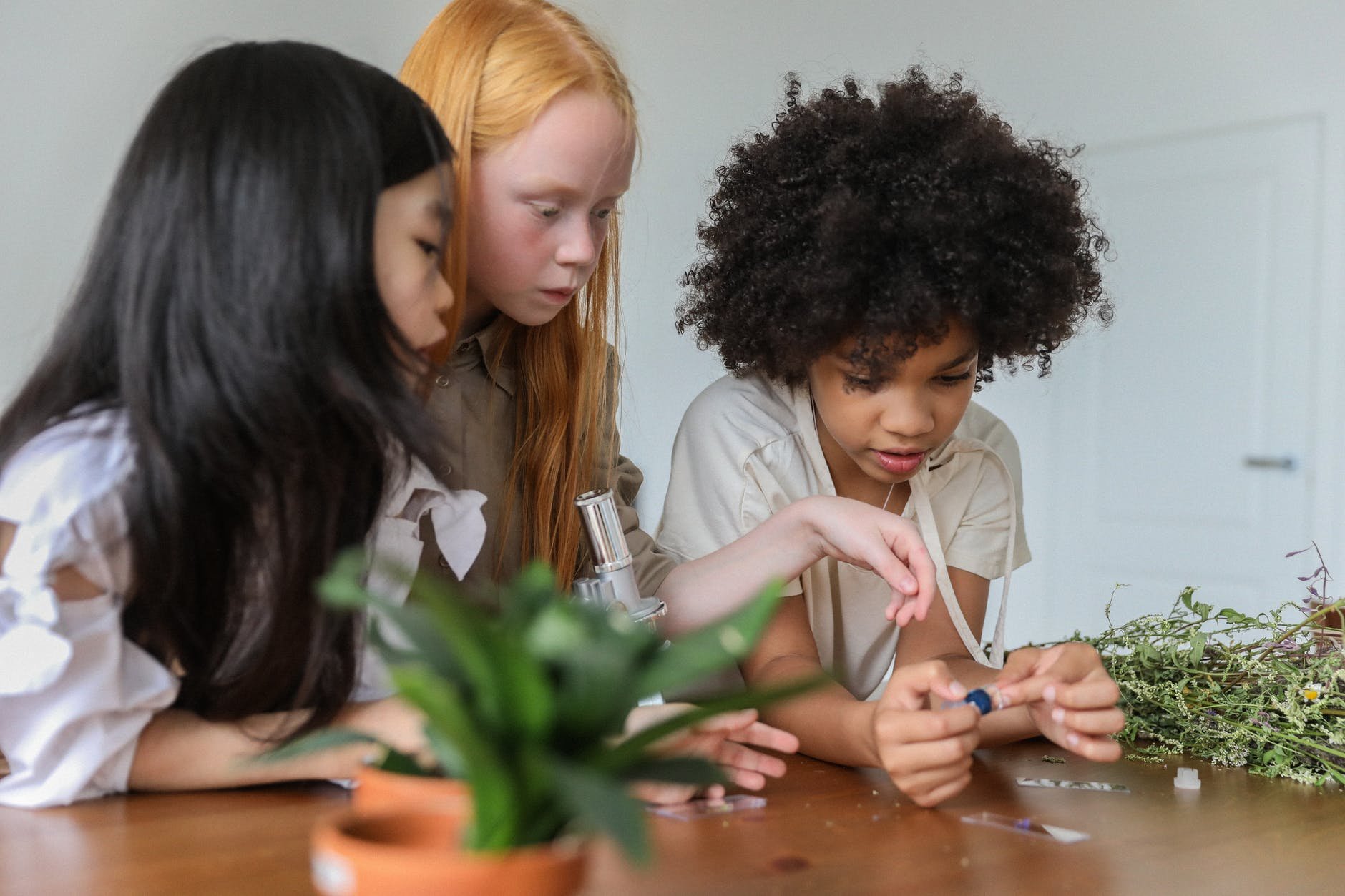 Small Sprouts Gardening Club