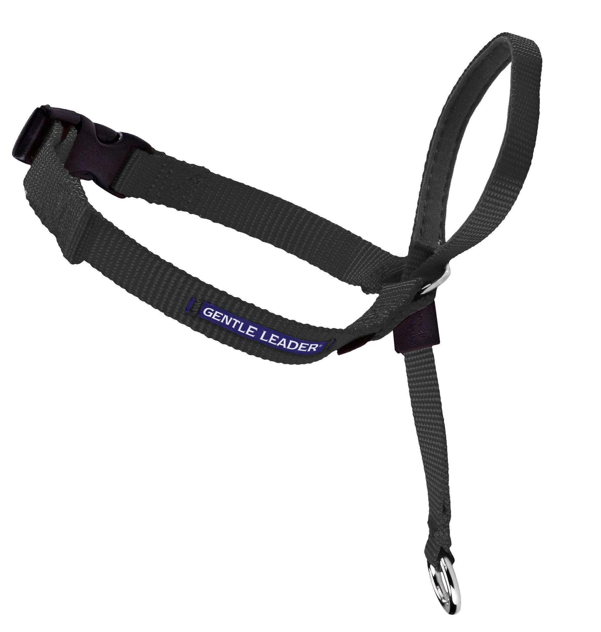 Gentle Leader Head Collar