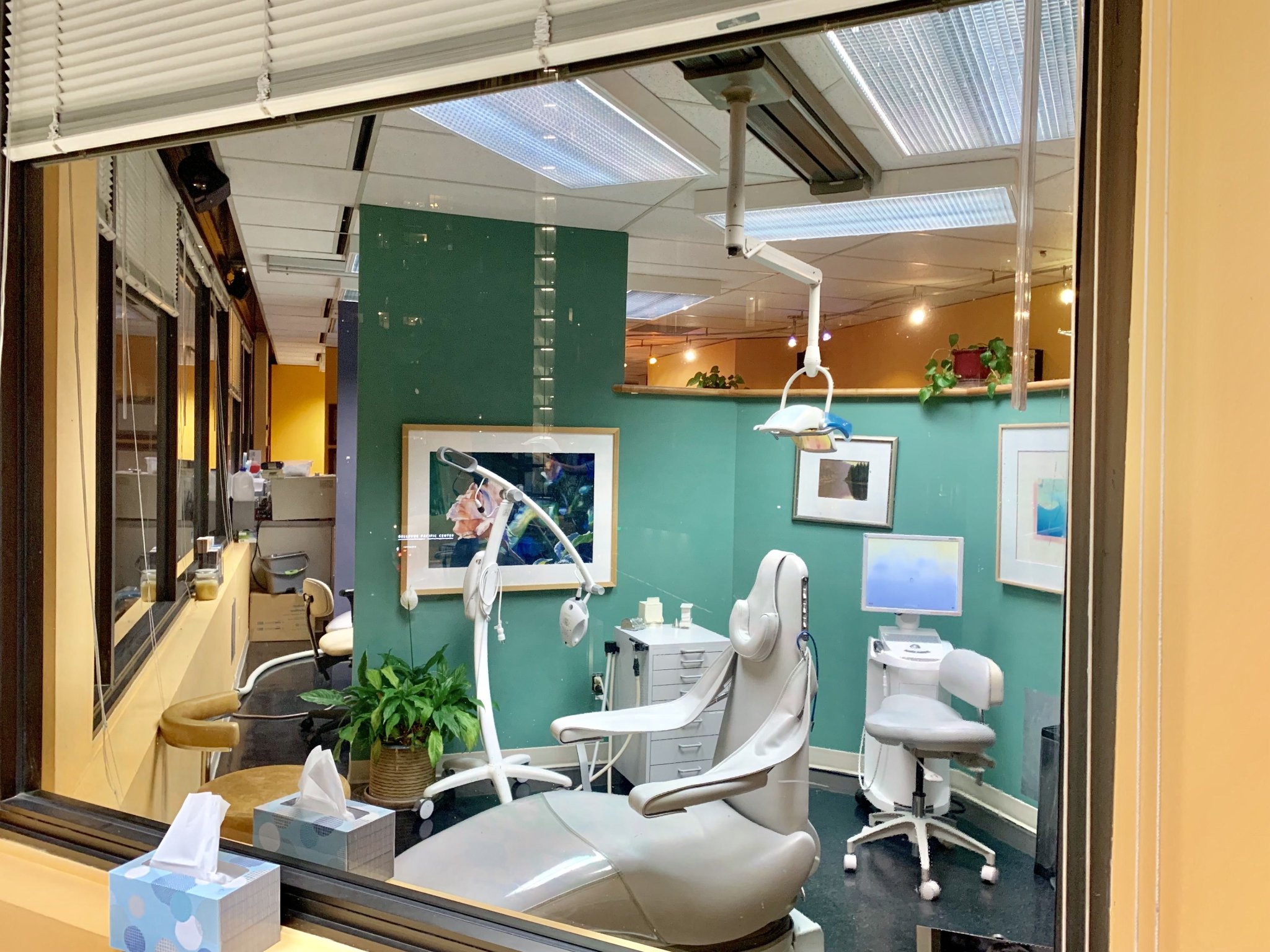 Bellevue Azalea Dentistry