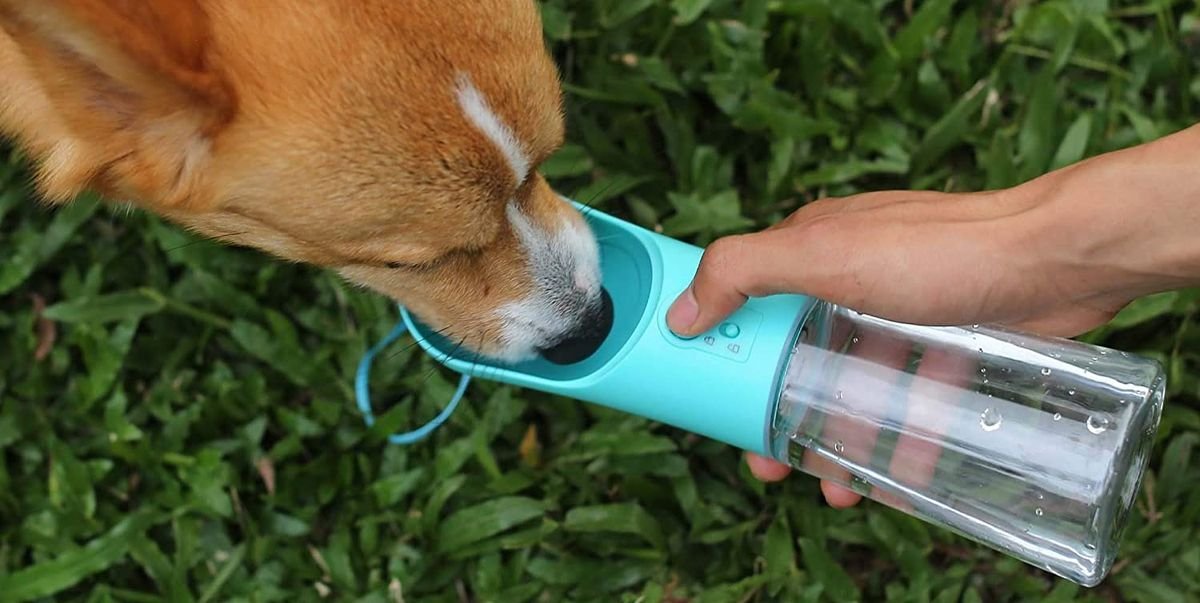 Upsky Dog Water Bottle