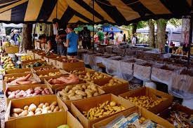 Coconut Grove Organic Market