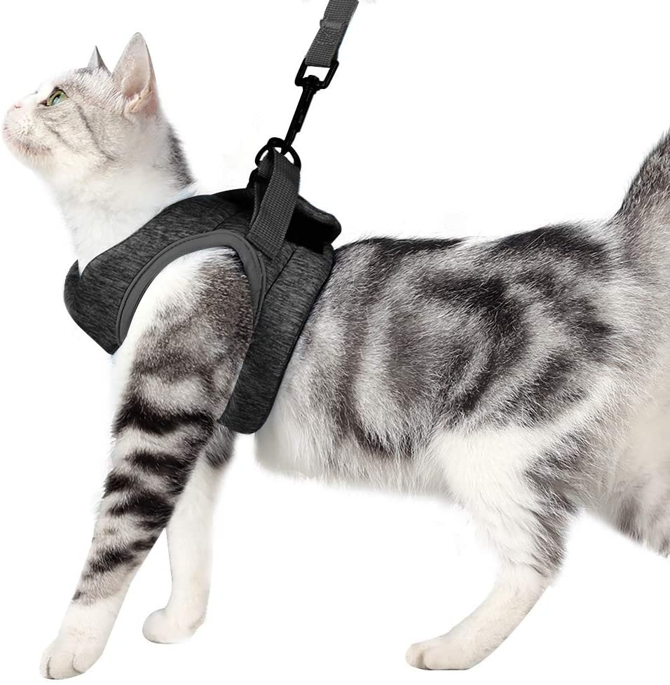 Heywean Cat Harness and Leash