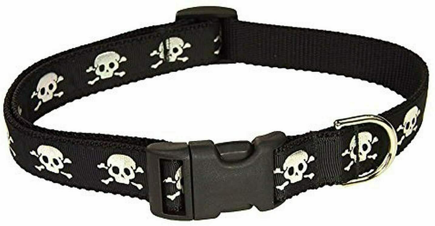 Sassy Dog Wear Reflective Skull-Red4-C Skull Print Dog Collar, Red - Large