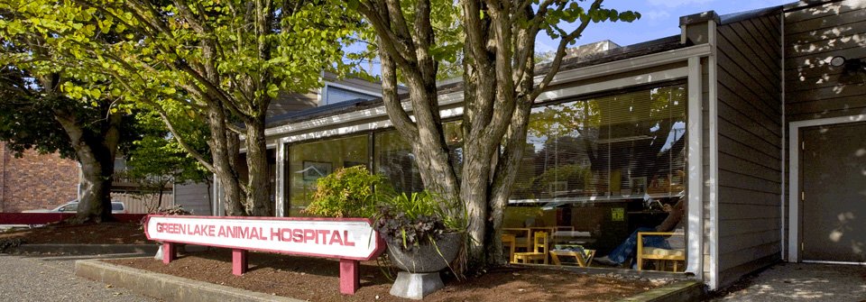 Green Lake Animal Hospital