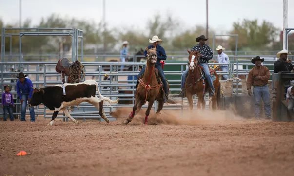 Arizona Black Rodeo