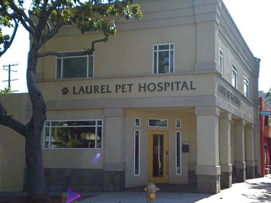 Vca gateway animal store hospital los feliz