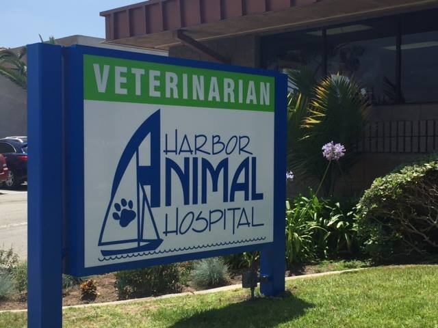 Harbor Animal Hospital